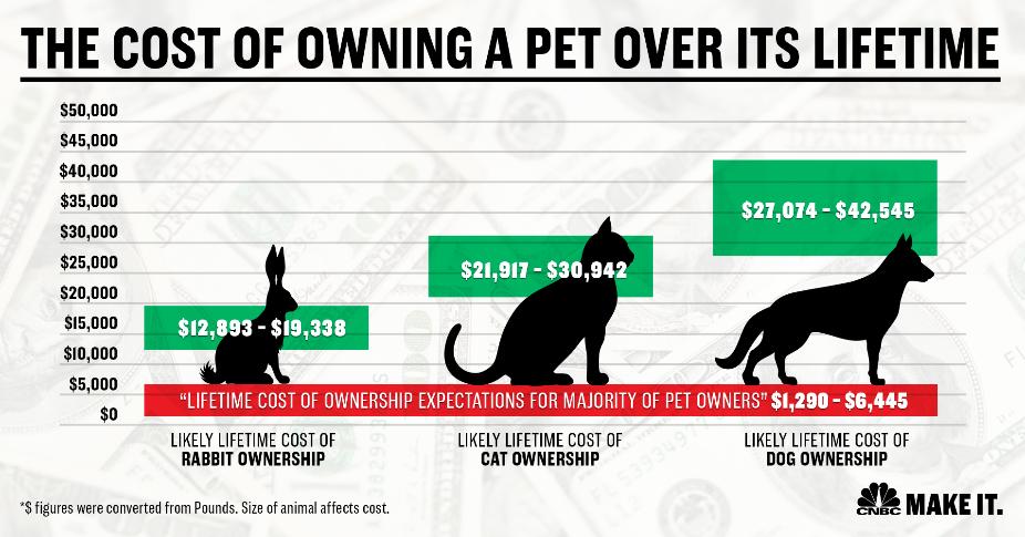 How Much Does Keeping A Dog Cost
